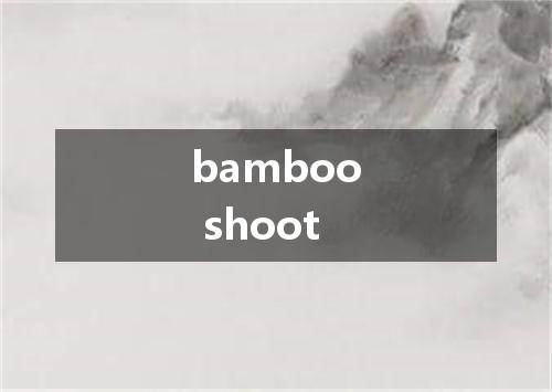 bamboo shoot是什么意思
