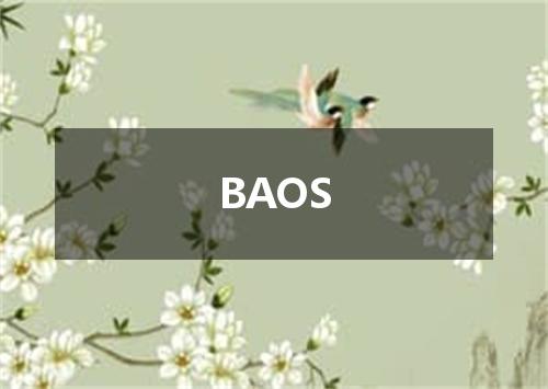 BAOS是什么意思