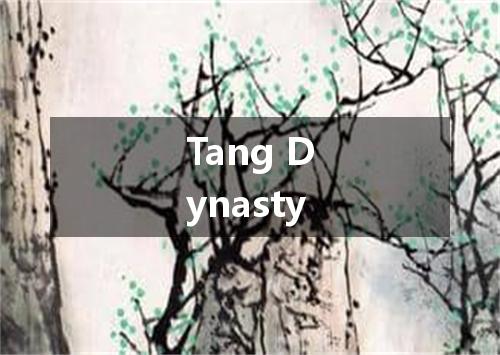 Tang Dynasty是什么意思
