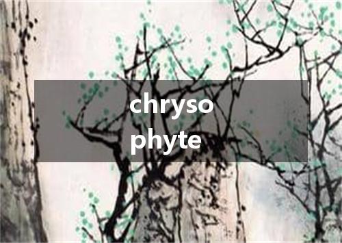 chrysophyte是什么意思