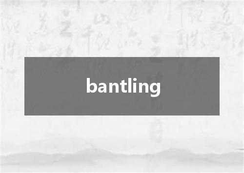 bantling是什么意思