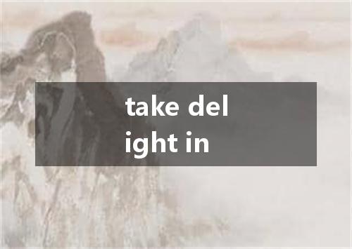 take delight in是什么意思