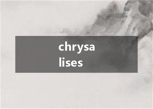 chrysalises是什么意思