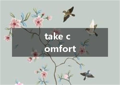 take comfort是什么意思