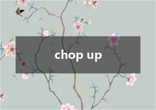 chop up是什么意思