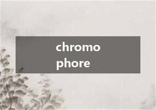 chromophore是什么意思