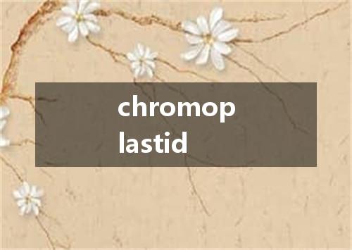 chromoplastid是什么意思