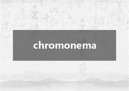 chromonema是什么意思