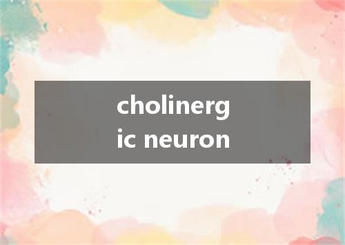cholinergic neuron是什么意思
