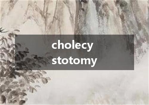 cholecystotomy是什么意思