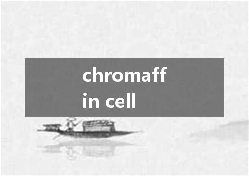 chromaffin cell是什么意思