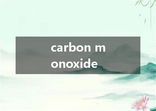 carbon monoxide是什么意思