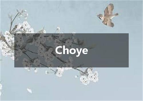Choye是什么意思