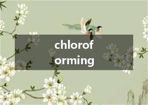 chloroforming是什么意思