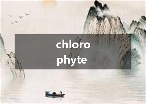 chlorophyte是什么意思