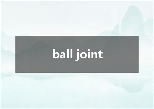 ball joint是什么意思