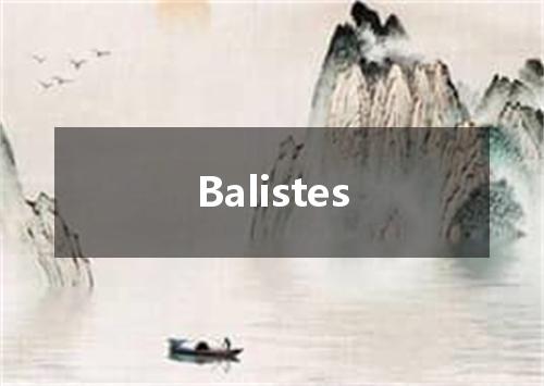 Balistes是什么意思