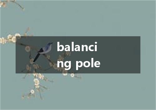 balancing pole是什么意思