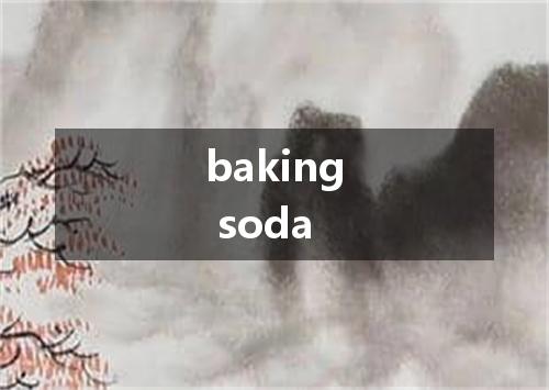 baking soda是什么意思