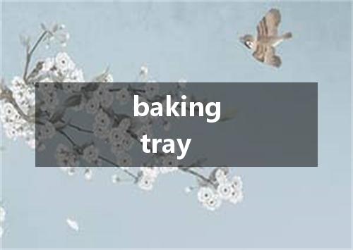 baking tray是什么意思