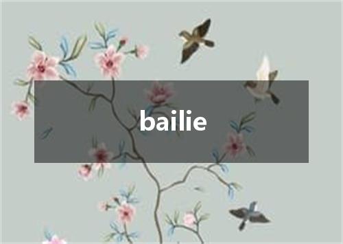 bailie是什么意思