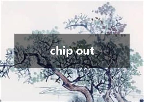 chip out是什么意思