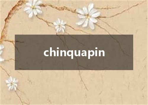 chinquapin是什么意思