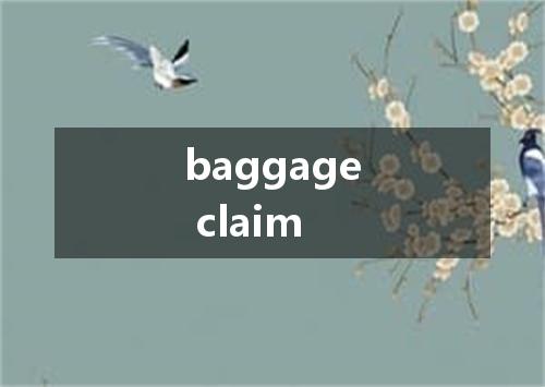 baggage claim是什么意思