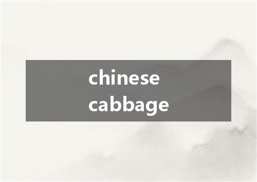 chinese cabbage是什么意思