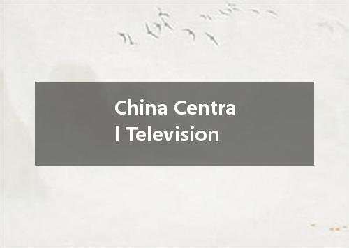 China Central Television是什么意思