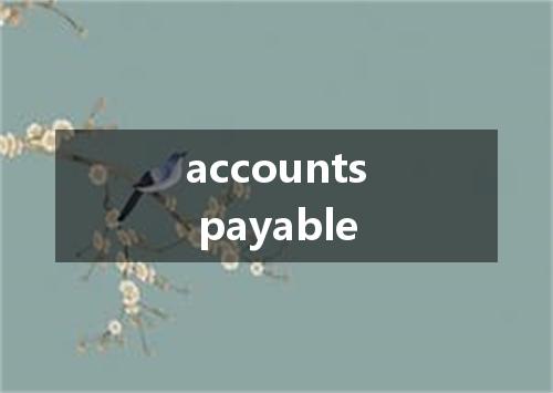 accounts payable是什么意思
