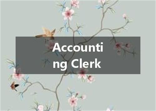Accounting Clerk是什么意思