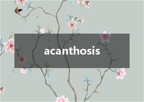 acanthosis是什么意思