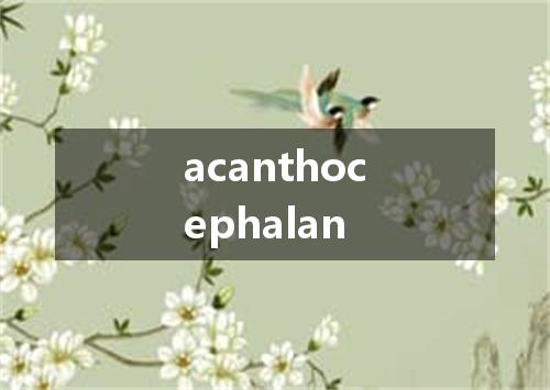 acanthocephalan是什么意思