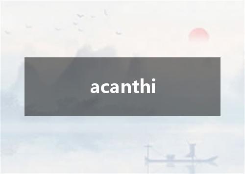 acanthi是什么意思