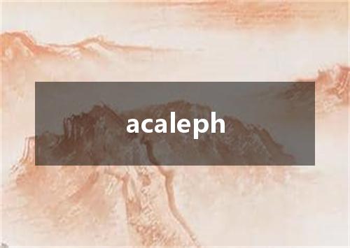 acaleph是什么意思
