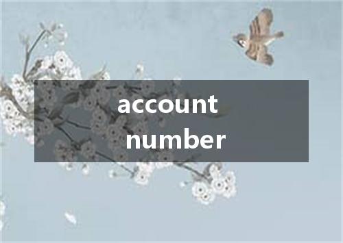 account number是什么意思