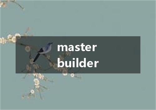 master builder是什么意思