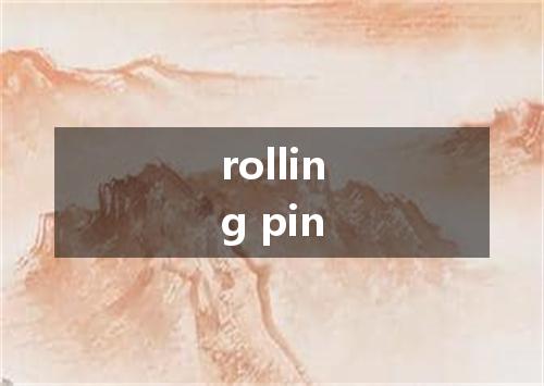 rolling pin是什么意思