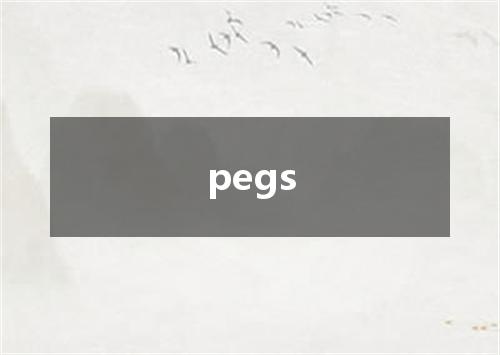 pegs是什么意思