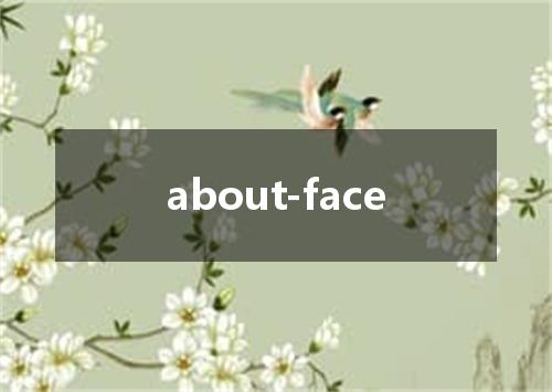 about-face是什么意思