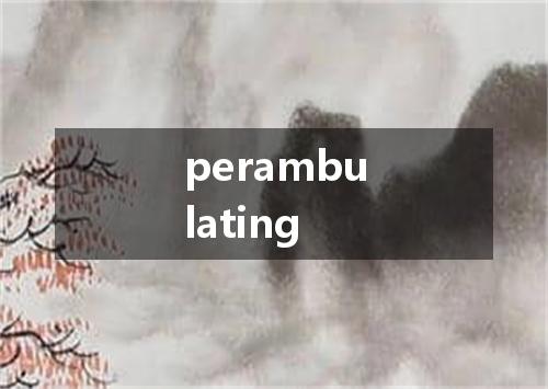 perambulating是什么意思