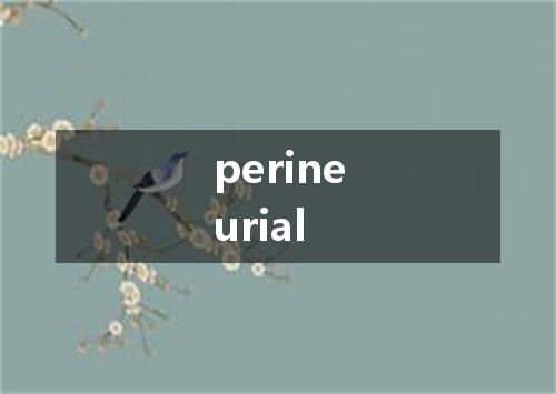 perineurial是什么意思