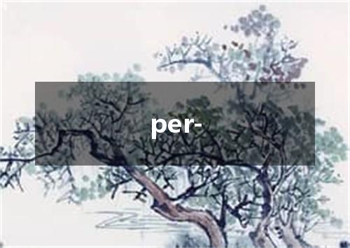 per-是什么意思