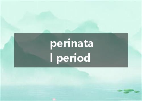 perinatal period是什么意思