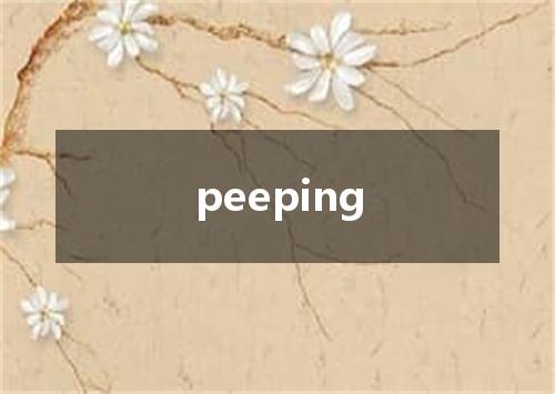 peeping是什么意思
