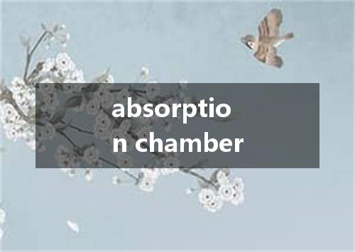 absorption chamber是什么意思