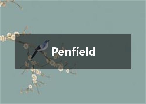 Penfield是什么意思