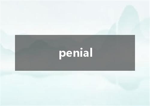 penial是什么意思