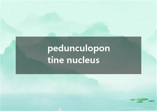 pedunculopontine nucleus是什么意思